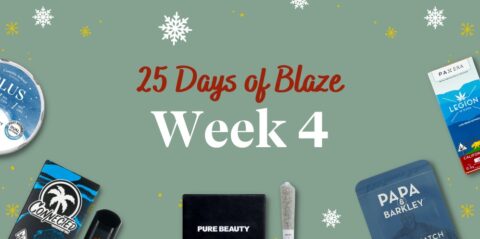25 Days of Blaze Gift Guide #4